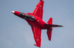 Yak 1