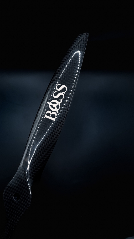 Boss 1